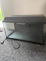 Aquarium, Dieren en Toebehoren, Vissen | Aquaria en Toebehoren, Ophalen, Gebruikt, Leeg aquarium
