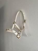 Wit nylon voorbrenghalster voor veulen / pony., Dieren en Toebehoren, Ophalen of Verzenden, Zo goed als nieuw