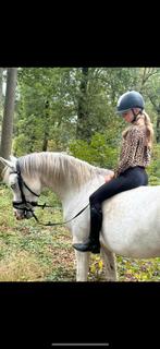 VERZORGPONY GEZOCHT / ERVAREN RUITER AANGEBODEN, Dieren en Toebehoren, Ophalen of Verzenden