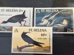 Vogel, Sint Helena 1985, Ophalen of Verzenden, Postfris, Dier of Natuur