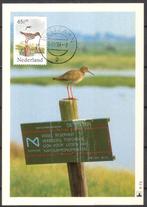 Vogel - Tureluur, Verzenden, 1980 tot heden, Ongelopen, Vogel