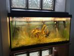 Aquarium 30 X 60 X 30 cm met toebehoren, Dieren en Toebehoren, Vissen | Aquaria en Toebehoren, Gebruikt, Ophalen, Gevuld zoetwateraquarium