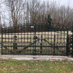 Heel mooi sierhekwerk, Ophalen, Gebruikt, IJzer, Sierhekwerk