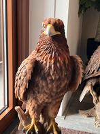 Groot Adelaar Beeld - Prachtige Tuindecoratie, Ophalen of Verzenden, Nieuw, Kunststof, Dierenbeeld