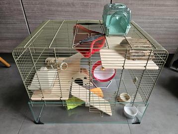 Hamsterkooi of gerbil kooi met heel veel accessoires beschikbaar voor biedingen