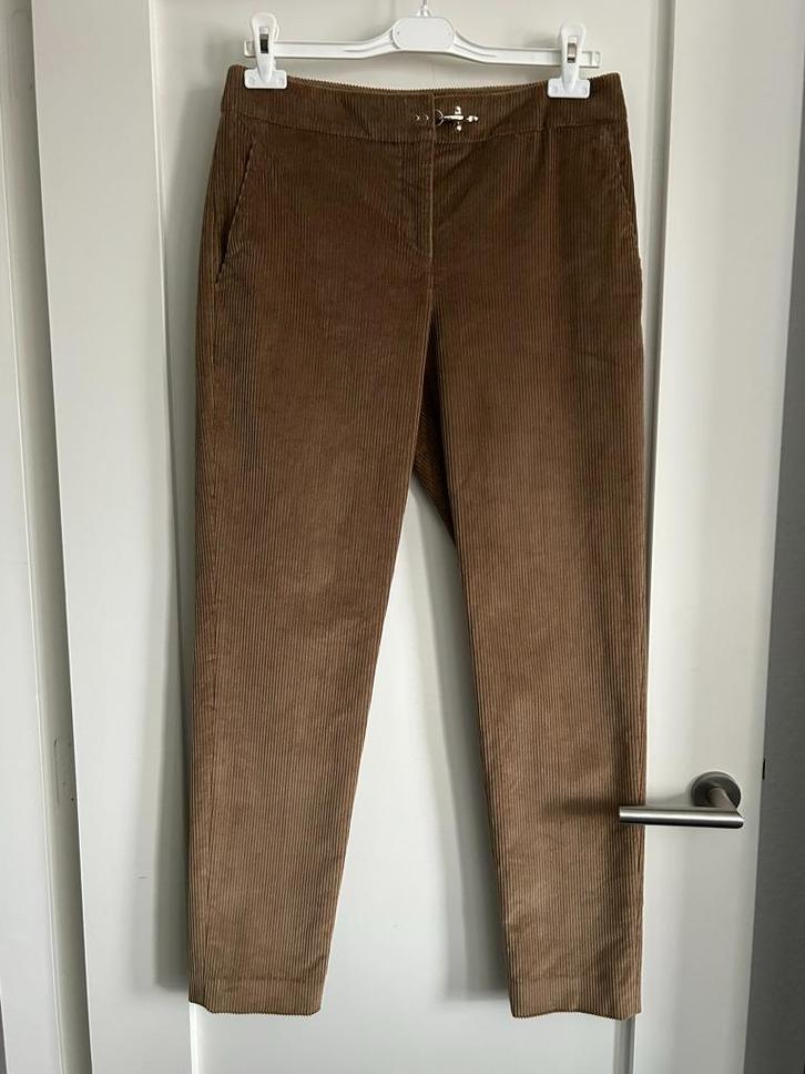 FAY Ribfluwelen Broek, Maat I42 (NL 36) Nieuw met Kaartjes, Kleding | Dames, Broeken en Pantalons, Nieuw, Maat 36 (S), Bruin, Lang