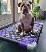 Hondenmand hondenstretcher hondenkussen bench puppy bed, Ophalen of Verzenden, Nieuw, Overige