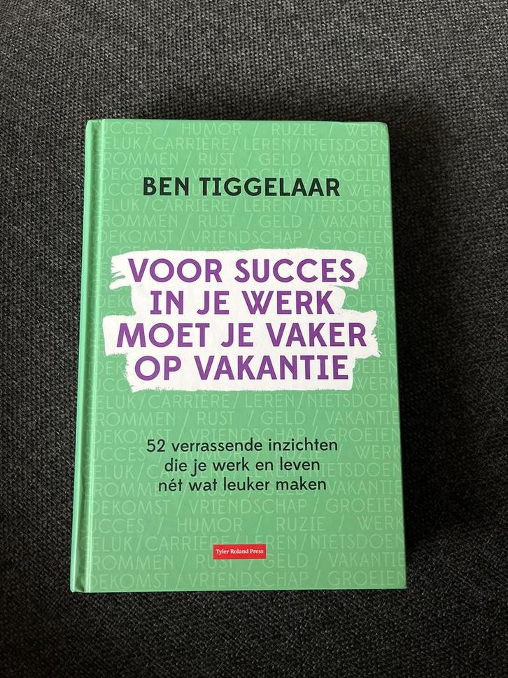 Voor Succes in je Werk: Ben Tiggelaar, Boeken, Advies, Hulp en Training, Zo goed als nieuw, Ophalen of Verzenden