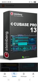 Cubase 13 Pro - (download of + €17,50 per usb), Computers en Software, Ophalen of Verzenden, Nieuw, Windows