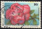 Belgie 1995 - Yvert/OBP 2590 - Gentse Floralien IX (ST), Ophalen, Gestempeld