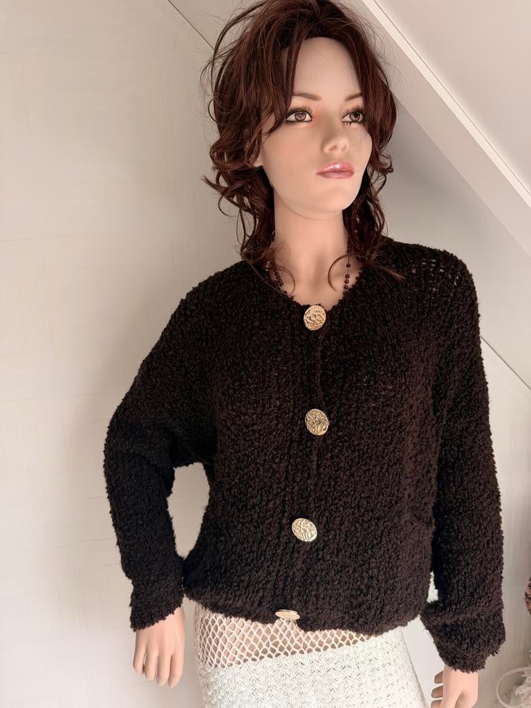 Vestje met gouden metalen knopen, Ophalen of Verzenden, Nieuw, Maat 42/44 (L), Bruin