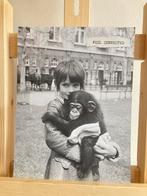 Foto uit flow ARTIS /aap / chimpansee/ fotografie /‘poster’, Ophalen of Verzenden, Minder dan 50 cm, Foto of Poster