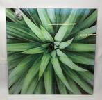 Glasplaat met foto, 80 x 80 cm, Ophalen, Gebruikt, 75 tot 100 cm, Foto of Poster