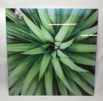 Glasplaat met foto, 80 x 80 cm beschikbaar voor biedingen