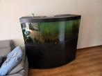 Groot aquarium, Dieren en Toebehoren, Vissen | Aquaria en Toebehoren, Ophalen, Zo goed als nieuw, Gevuld zoetwateraquarium