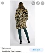 Nieuw Leopard dames jas, Ophalen of Verzenden, Nieuw, Maat 38/40 (M)