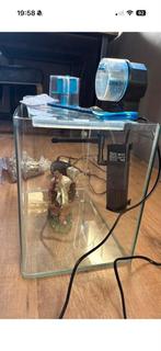 Aquarium, Dieren en Toebehoren, Ophalen, Leeg aquarium