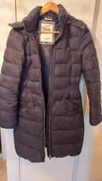 Tommy hilfiger winterjas, Kleding | Dames, Ophalen of Verzenden, Zo goed als nieuw