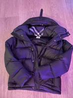 Burberry Jas - Zo goed als nieuw, Ophalen of Verzenden, Zo goed als nieuw, Overige maten, Zwart