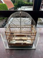 Surinaamse vogelkooi (1), Ophalen of Verzenden, Gebruikt, Hout, Vogelkooi