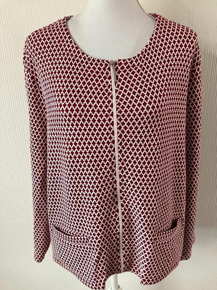 michele boyard maat 48 valt als 50 oksel tot oksel 68 cm, Kleding | Dames, Grote Maten, Zo goed als nieuw, Trui of Vest, Ophalen of Verzenden