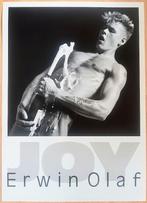 Affiche Erwin Olaf ( JOY ), Boeken, Ophalen of Verzenden, Zo goed als nieuw, Fotografen