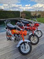 Honda Dax ST50, Ophalen, Zo goed als nieuw, Overige modellen