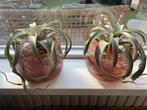 Intratuin pot met kunstplant, Ophalen, Zo goed als nieuw