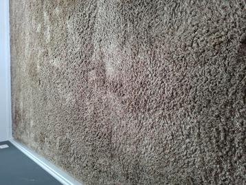 bomat vloerkleed 2.5 x 3m  beschikbaar voor biedingen