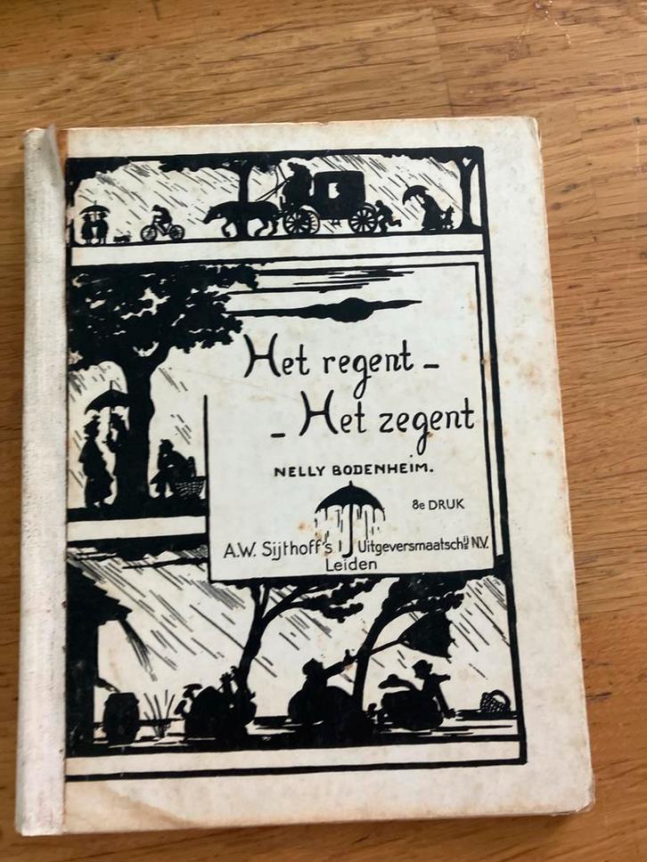 Het Regent - Het Zegent, Nelly Bodenheim, Boeken, Literatuur, Gelezen, Nederland, Ophalen of Verzenden