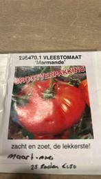 Vleestomaat marmande zaden, Ophalen of Verzenden, Volle zon