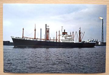Foto vrachtschip Nieuwe Waterweg bij Vlaardingen 1975 beschikbaar voor biedingen