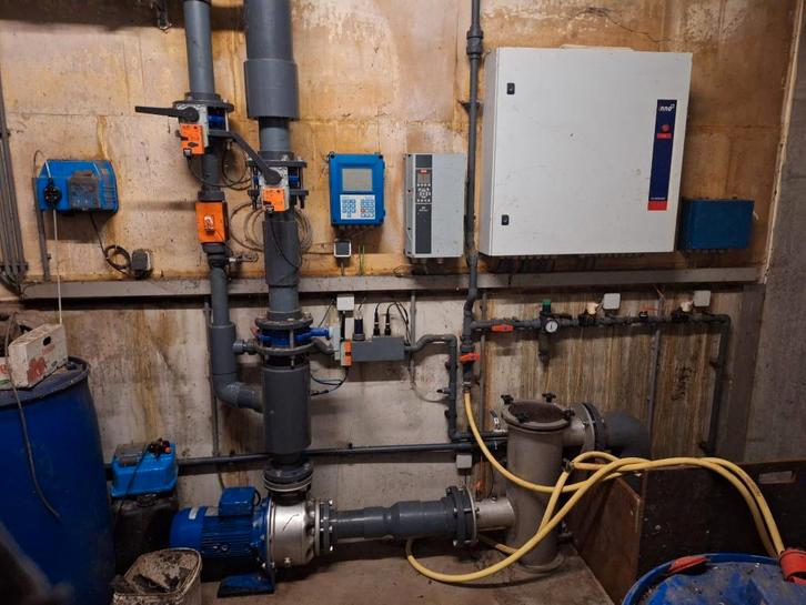 luchtwasser, Dieren en Toebehoren, Schapen, Geiten en Varkens, Varken, Meerdere dieren, 6 jaar of ouder