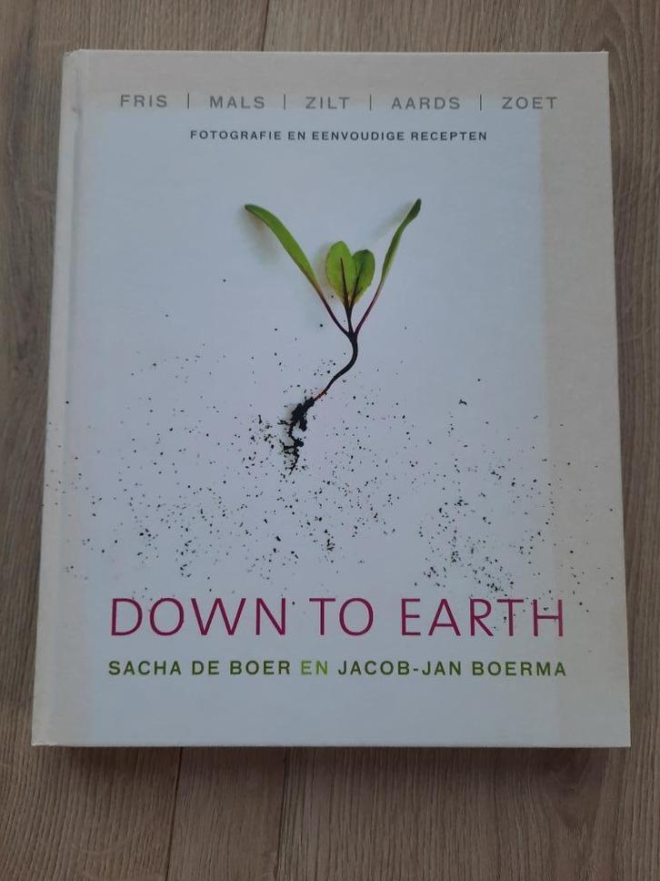 Kookboek Down to earth, Boeken, Kookboeken, Zo goed als nieuw, Voorgerechten en Soepen, Hoofdgerechten, Tapas, Hapjes en Dim Sum