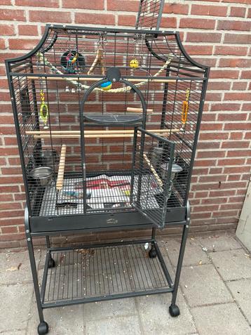 Montana madeira antic beschikbaar voor biedingen