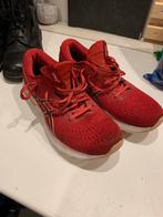 Asics nimbus 24 maat 42, Gebruikt, Hardloopschoenen, Ophalen of Verzenden, Hardlopen