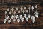 Zilver zilveren 12x lepeltje blad fauna decor en 2x schepje, Ophalen of Verzenden, Zilver
