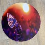 Muurcirkel vlinder zonsondergang – Forex – 40 cm, Nieuw, Ophalen of Verzenden, Info@demuurdecoratie.nl, 9076KA