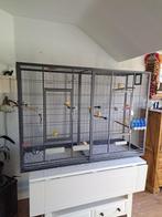 vogelkooi/binnen volliere, Dieren en Toebehoren, Vogels | Hokken en Kooien, Ophalen, Zo goed als nieuw, Metaal, Vogelkooi