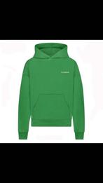 Flaneur hoodie groen, Kleding | Heren, Truien en Vesten, Flaneur, Zo goed als nieuw, Groen, Verzenden