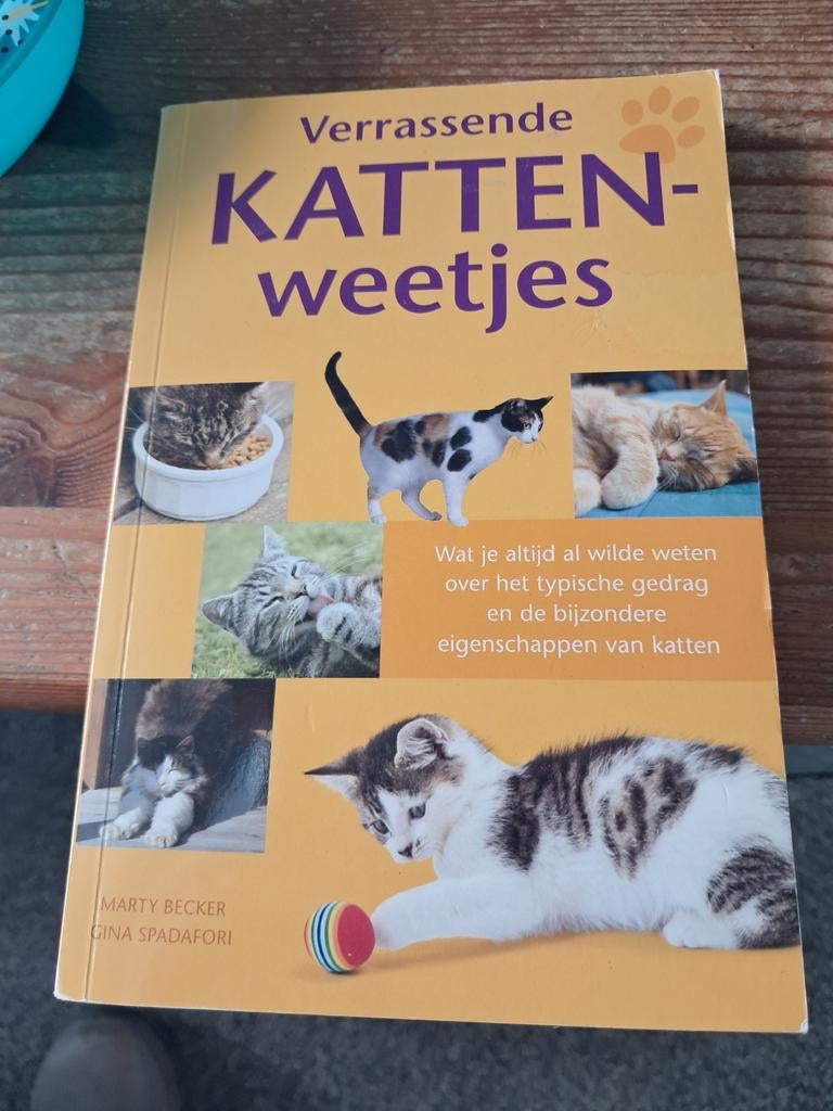 Boekje verrassende katten weetjes, Ophalen, Zo goed als nieuw, Katten