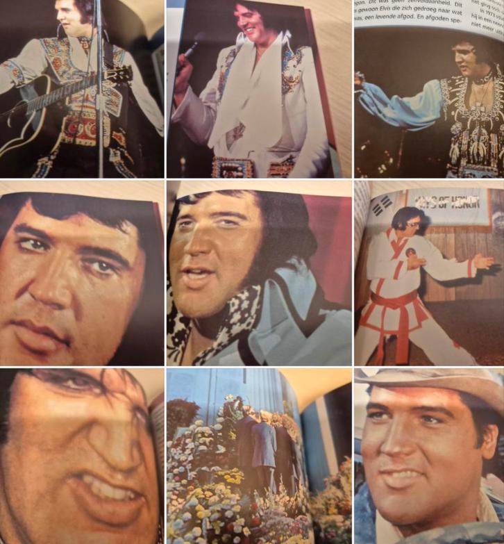 Boek Nederlands Elvis Presley als nieuw zijnde uitgave, Boeken, Muziek, Zo goed als nieuw, Artiest, Ophalen of Verzenden