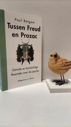 Betgem, Paul; Tussen Freud en Prozac, Ophalen of Verzenden, Gelezen