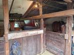 Stalling Boxtel, Dieren en Toebehoren, Stalling en Weidegang, Weidegang, 1 paard of pony