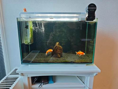Superfish Home 110 Liter Wit Aquarium Compleet Izgs €85, Dieren en Toebehoren, Vissen | Aquaria en Toebehoren, Zo goed als nieuw