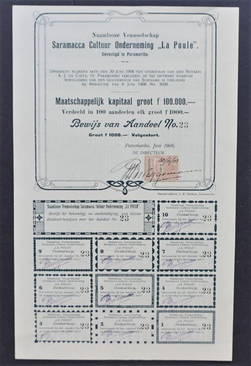 Saramacca Cultuur Onderneming "La Poule" - Paramaribo 1908, Postzegels en Munten, Aandelen en Waardepapieren, Aandeel, Voor 1920