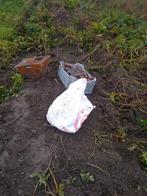 Rode Star aardappelen, Diversen, Levensmiddelen, Ophalen