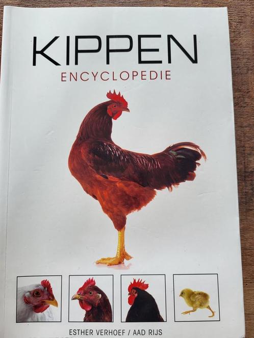 Aad Rijs - Kippen encyclopedie, Boeken, Dieren en Huisdieren, Zo goed als nieuw, Ophalen of Verzenden