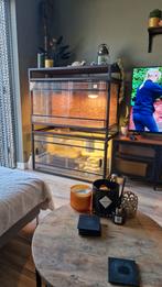 2x terrarium inclusief terrariummeubel + toebehoren, Ophalen, Zo goed als nieuw, Terrarium of Paludarium