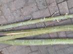 Wilgen / kachel hout, Minder dan 3 m³, Ophalen, Overige houtsoorten